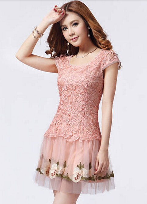 Korean Style Lace Organza Ambroidered Occasion Dress on Luulla